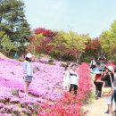 원연장마을 전북도민일보