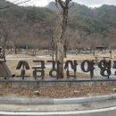 강산이용