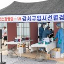강서구-7 이미지