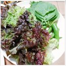 불오리 뒷고기 이미지