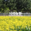 싱그러운 이미지