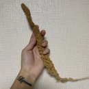 주식회사 리프패럿 이미지