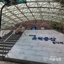 후불제상조 회사 다온상조, 왜 찾는 분들이 늘고 있을까요?