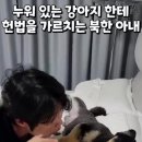 명령문과 논설문 이미지