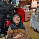 속사재이야기 이미지