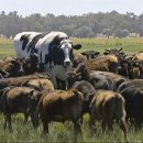 우용농장 이미지