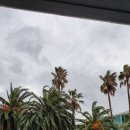 무장초등길 이미지