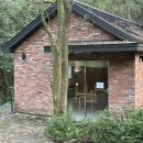 봉화목장 | 봉화 카페 비진숲커피 | 이걸 왜 이제 알았지? 파블로바 첫 경험 솔직 후기🫐