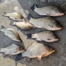 여수낚시터 이미지