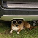 아임파인 이미지