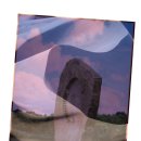 행복한 멍냥이 이미지