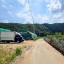 김해김씨 열녀각 이미지