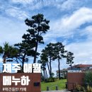 커피MENUHA메누하 | 제주도 애월 메누하 MENUHA 뷰 좋은 애견동반 카페 추천