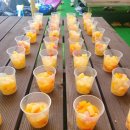 자이태권도 이미지