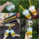컴포즈커피 일산라페스타점 네이버블로그