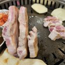 남산홍돼지