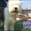 히릿