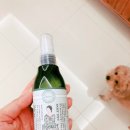 예뻐져라로즈마리
