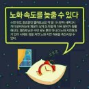 늘ㆍ다 Daum카페