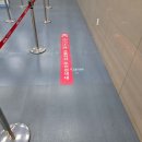 대한교통 | 임신 29주 나고야 태교여행 - 대한항공 임산부 교통약자 우대 서비스 후기