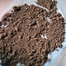 임대길농장 | 2026. 03. 30 청년 귀농 장기교육 13일차 | 유기농 천적 관리, 토양검사 준비, 장수 스마트팜 견학 후기