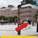 동백호수공원(광장) 이미지