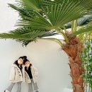 사리경주 풀빌라(이슬동) 이미지