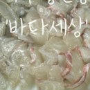 고흥돌담한옥민박 이미지