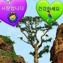 만사형통 이미지