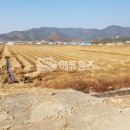 징검다리공인중개사사무소 이미지