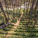 산림문화체험관 이미지