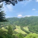 안성맞춤한우촌 | ⛳ “샷은 숲으로, 멘탈은 깊은 골짜기로…” - 안성CC 라운드 후기