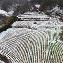 썬파워에너지 태양광발전소 이미지