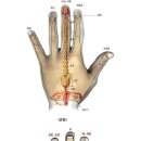 아플때 눌러주는 손바닥지압점 발지압점 이미지