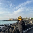 신창유유희 이미지