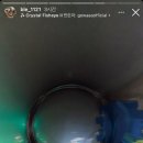 신태인목장 | 합법적 백수