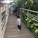 가-15 | 경주 아이랑 가볼만한곳, 15개월 동궁원 솔직후기