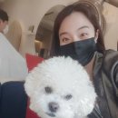 살롱피키