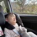 용아농장 | 울산 간월재 14개월 아기랑 등산 오후 출발 후기