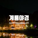 입암저수지주차장 공중화장실 | 계룡 야경 데이트 명소 입암저수지 정육식당, 대형카페