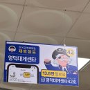 영덕대게센타42호 솔직 후기🦀 신선한 대게와 회 한상차림에 감탄한 날