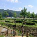 보호수광장 | 안동여행 가볼만한곳 2일차 :) 안동 중앙신시장 옥야식당 젤라또 아차가 안동하회마을