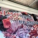 월포자연산횟집 네이버블로그