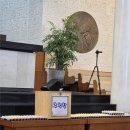 영원작은도서관 | 인성초 추첨 발표 경쟁률 2026년 입학 전형 후기