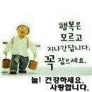 57 Daum카페