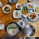 큰오리농장1 이미지