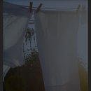 백의민족세탁소 이미지