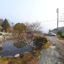 수선정사 이미지