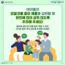 코올 Daum카페