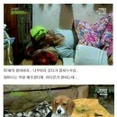 벌떡 이미지